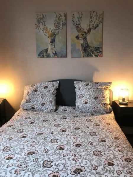 Bel Hypercentre T3/70 M2 Appartement *